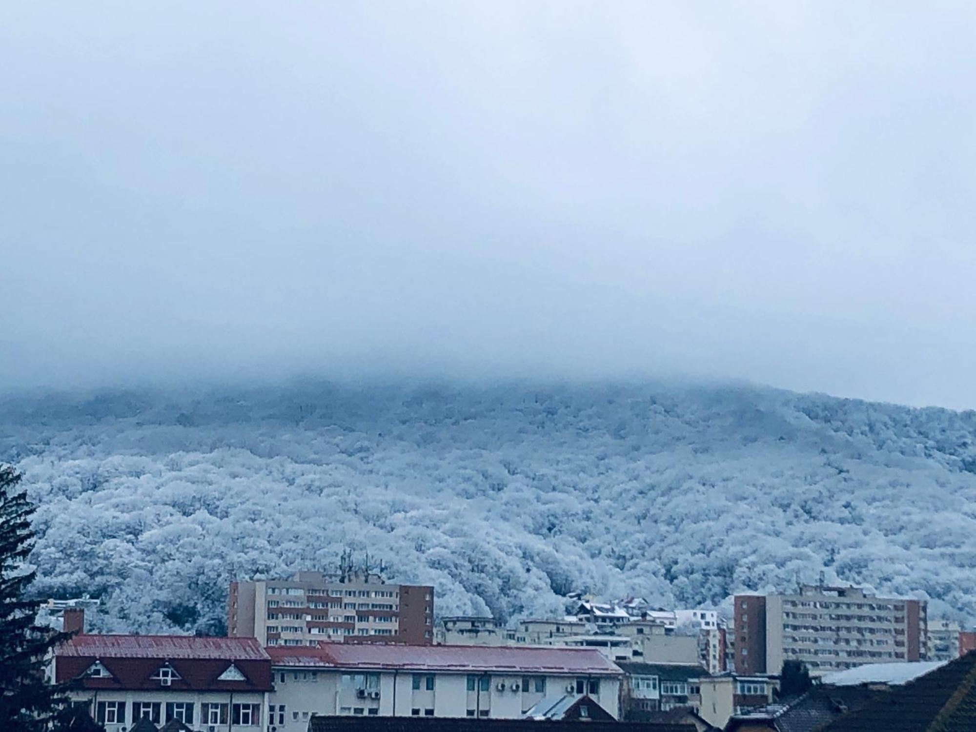 Ana-Maria Home Râmnicu Vâlcea المظهر الخارجي الصورة